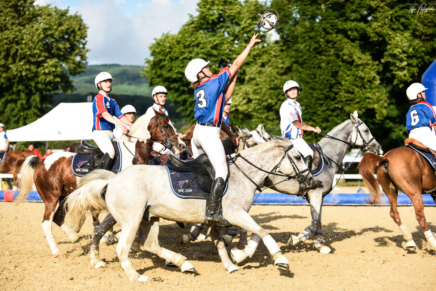 Polo, horse-ball… Les autres pratiques de l'équitation - Eurosport