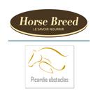 HORSE BREED - PICARDIE OBSTACLES