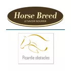 HORSE BREED - PICARDIE OBSTACLES