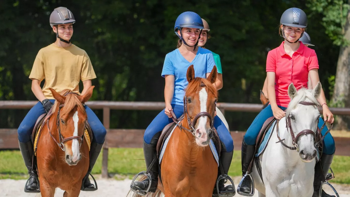 Après plus de 10 ans de mesures palliatives, les professionnels de l’équitation obtiennent enfin une fiscalité simplifiée et sécurisée !