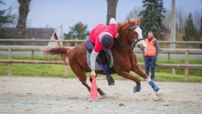 Retour sur le championnat de France de pony-games en paire à Cluny (71)
