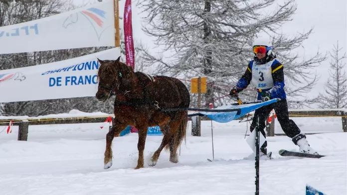 Le championnat de France de ski-joëring a fait son grand retour en 2024 !