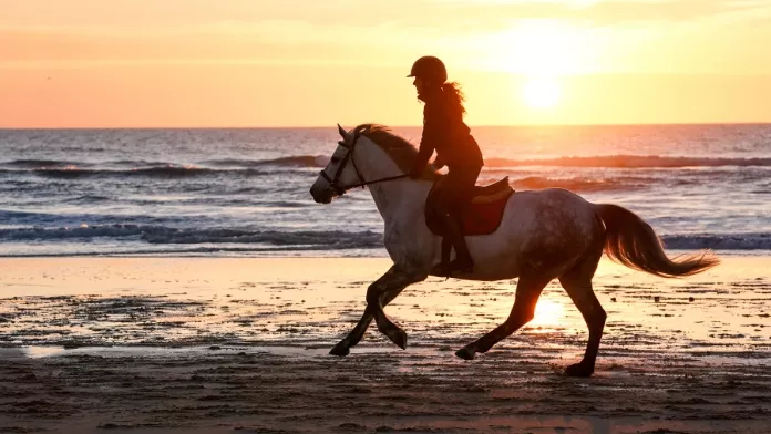La plateforme FFE “À cheval en France”, un allié de choix pour planifier ses vacances !