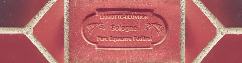 La Fédération Française d'Équitation - ffe-psv
