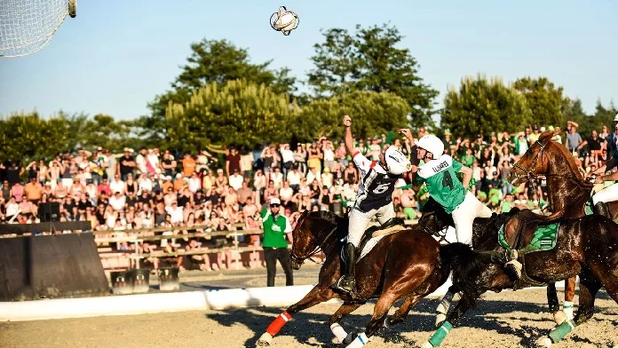 horse-ball Coupe de France parc équestre fédéral FFE Lamotte-Beuvron compétition