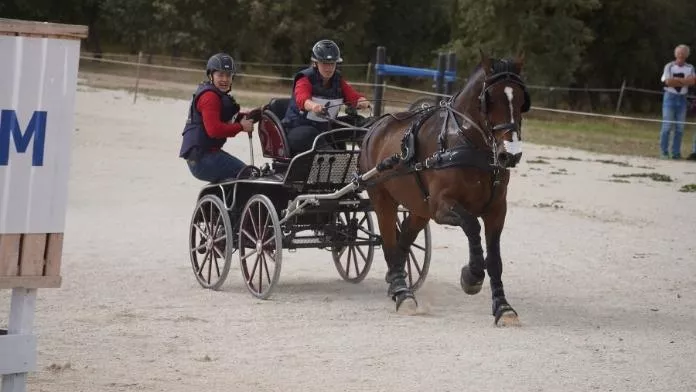 Les chevaux de trait ont joué leur championnat de France d’attelage Camille Porcher & Diem Marathon