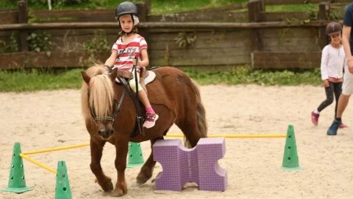 Poney équitation Fédération française d'équitation enfant
