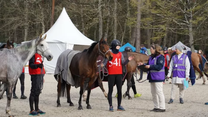 Les officiels, garants de l’équité de la course et du bien-être des chevaux CEI Fontainebleau 2023