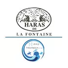 HARAS DE LA FONTAINE - HIPPO THALA SAULX