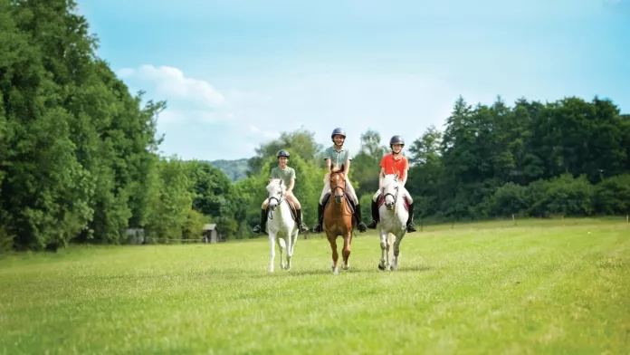 Journée du cheval 2023: Tous à cheval pour découvrir en famille les bienfaits de l’équitation