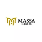 EXPERTISE & CONCEPT - MASSA HORSES